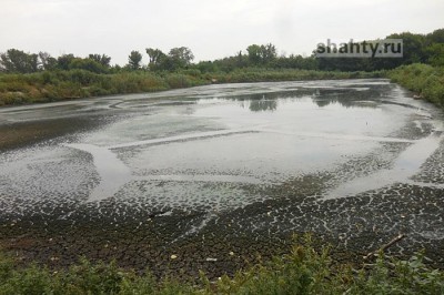 В Шахтах выявили превышение вредных веществ в реке Грушевке из-за сточных вод с предприятия
