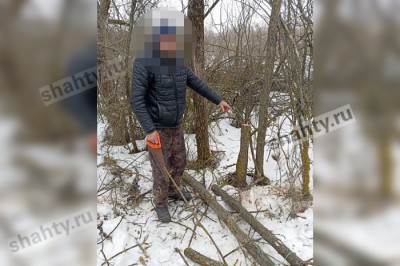 Спилил ручной пилой три вяза в Ростовской области: мужчину могут посадить на 2 года