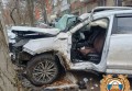 Пострадал водитель в Ростове: Chery Tiggo 8 протаранил дерево и авто