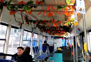 Украшенный осенними листьями трамвай восхитил жителей Ростова [Фото]