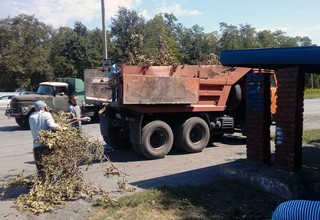 В г. Шахты убрали свалки мусора и 60 кубометров сухих веток