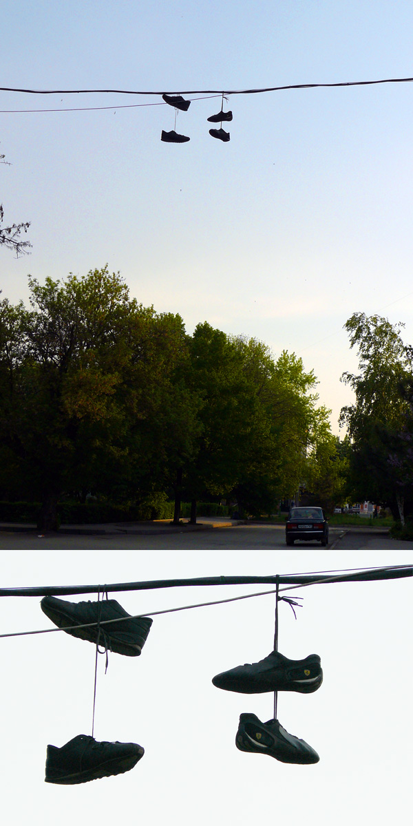 Потеряли на проспекте Красной Армии, г. Шахты - Шахты