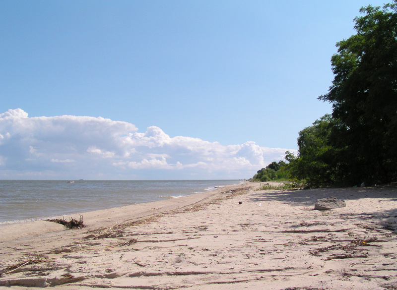 Таганрогский залив,Таганрог - Шахты