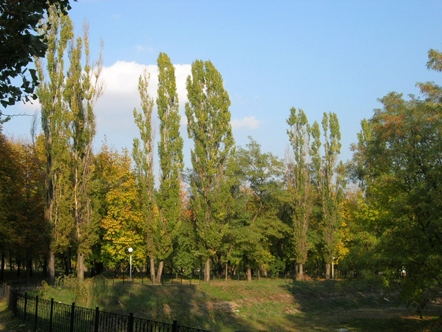 Шахтинский парк КиО - Шахты