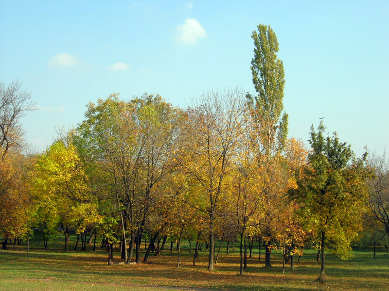 Парк осенью 2007 г. Шахты - Шахты