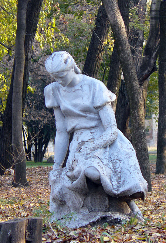 Девушка когда-то читала книгу