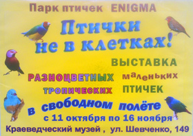 Парк живых птичек ENIGMA, выставка — , г. Шахты