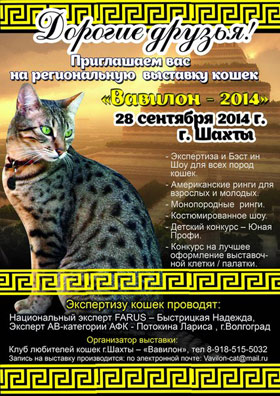 Региональная выставка кошек Вавилон г. Шахты — , г. Шахты