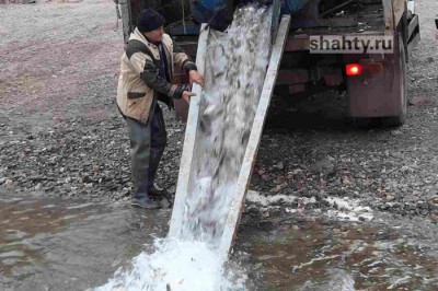 40 тысяч сазанов и толстолобиков выпустили в приток Дона