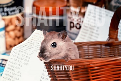 В России запретили навязывать покупателям дополнительные услуги и товары