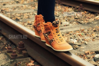 Попала под поезд под Шахтами 45-летняя женщина