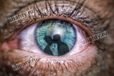 Ревнивый муж расправился со своей супругой — дали 7 лет «строгача»