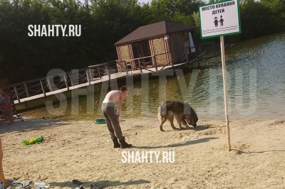 В г. Шахты собака порвала ребенку лицо и шею на пруду 20 лет РККА