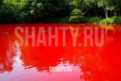 Вода в прудах стала бурой из-за шахтных вод шахты «Бургустинской» под Гуково