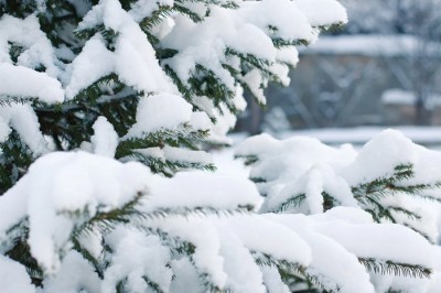 Потеплеет до +7 градусов в г. Шахты — погода на выходных