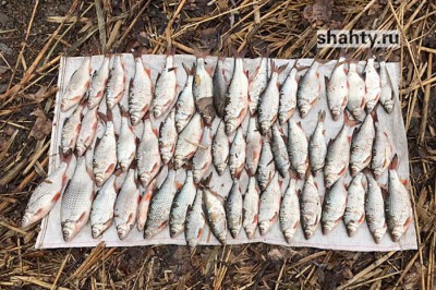 Ловля рыбы сетями и раков раколовками привела к уголовным делам