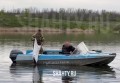 Выпустили 4000 раков в Соколовское водохранилище в Новошахтинске: браконьеров ищут