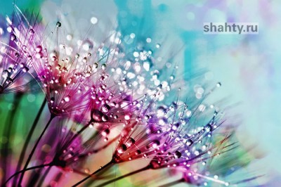 В Шахтах дождь и прохлада в воскресенье — погода на выходные