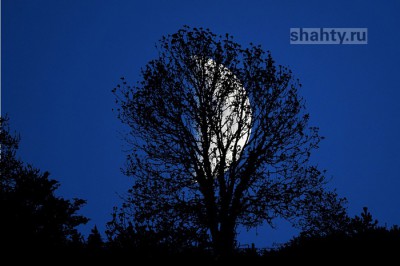 В Шахтах в понедельник 17 улиц останутся без света