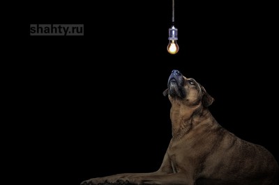 Отключение света во вторник в г. Шахты: обесточат 39 улиц