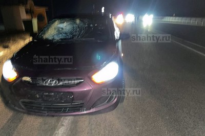 «Солярис» задавил пешехода, выбежавшего на трассу М-4 в Ростовской области