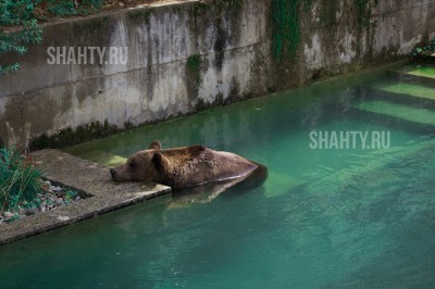 Утонул 43-летний мужчина в Ростовской области: выпивал с женой и пошел освежиться