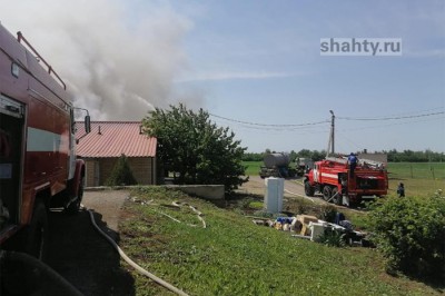 Погибло 11 тысяч свиней на ферме в результате пожара под Каменском-Шахтинским