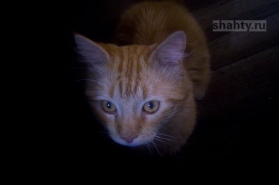 В Шахтах обесточат дома на 18 улицах во вторник, последний день лета