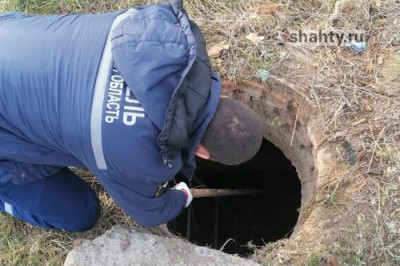Собака угодила в открытый люк: скулившего пса достали из колодца спасатели