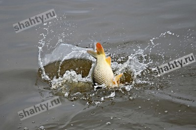 Утонули рыбаки в Ростовской области