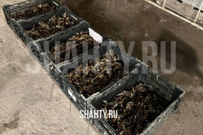 В г. Шахты полиция изъяла 260 кг раков без маркировки