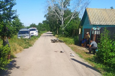 Сбили 12-летнего мальчика на питбайке — его отца накажут на 30 тысяч рублей