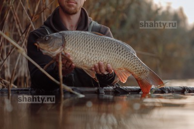 Поймали браконьеров с электроудочкой в Ростовской области: они наловили 36 кг рыбы
