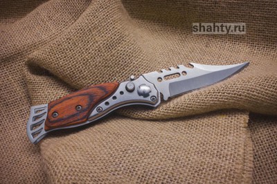 Житель г. Шахты напал с ножом на женщину на улице в Брянске