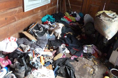 Скандал: история семьи из г. Шахты с 8 детьми приняла неожиданный оборот