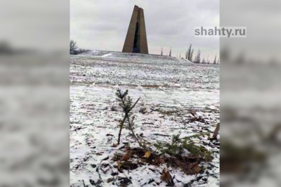 В Шахтах вандалы срезали ель на территории мемориала на Красина