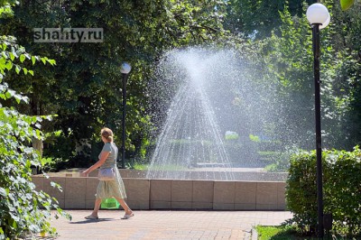 Погода на выходных в Шахтах: утром обещают +12 градусов