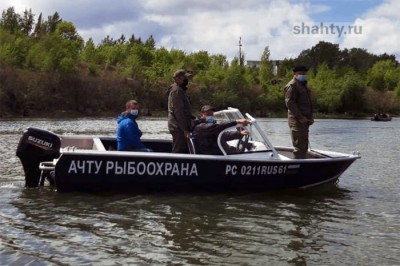 Могут разрешить вылов шемаи на Дону — численность популяции восстанавливается