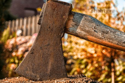 Зарубили топором пенсионерку, забрав из дома полмиллиона рублей в Ростовской области