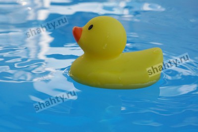 Малыши утонули, захлебнувшись в бассейне и ванне для полива в Ростовской области