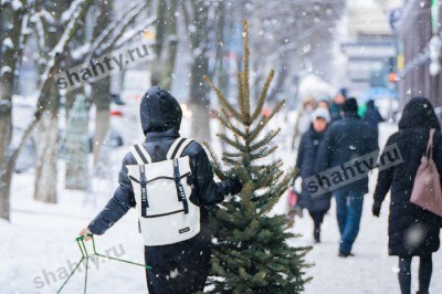 План мероприятий на Новый год в г. Шахты