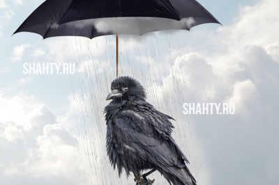 Штормовое предупреждение МЧС: ливни в Ростовской области