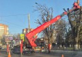 В г. Шахты на площади Ленина проводят опиловку деревьев