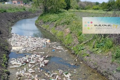 В г. Шахты река Атюхта «утопает» в мусоре, река Грушевка также загрязнена