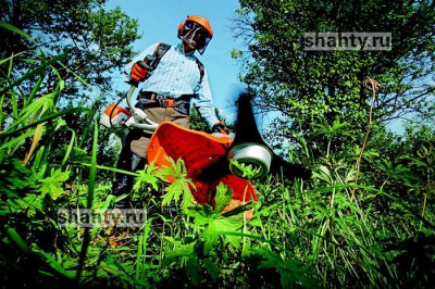 Шахты вошел в число лидеров в области по нескошенной траве