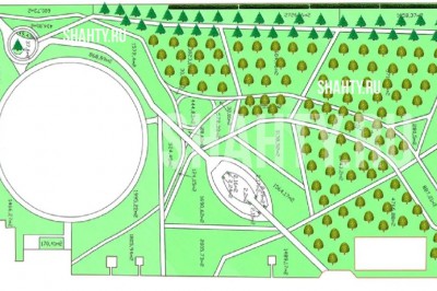 В парке г. Шахты высадят 74 канадские ел и удалят еще 47 деревьев