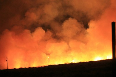 Из-за угнанного авто сгорело 330 гектаров леса в Ростовской области