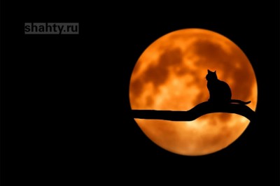 Массовое отключение электричества в Шахтах произойдет во вторник