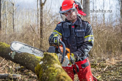 В Шахтах вырубают деревья вдоль дороги ХБК — Артем