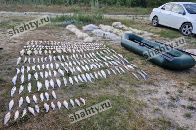 Изъяли сети и рыбу у браконьера в Ростовской области: ущерб составил 280 тысяч рублей